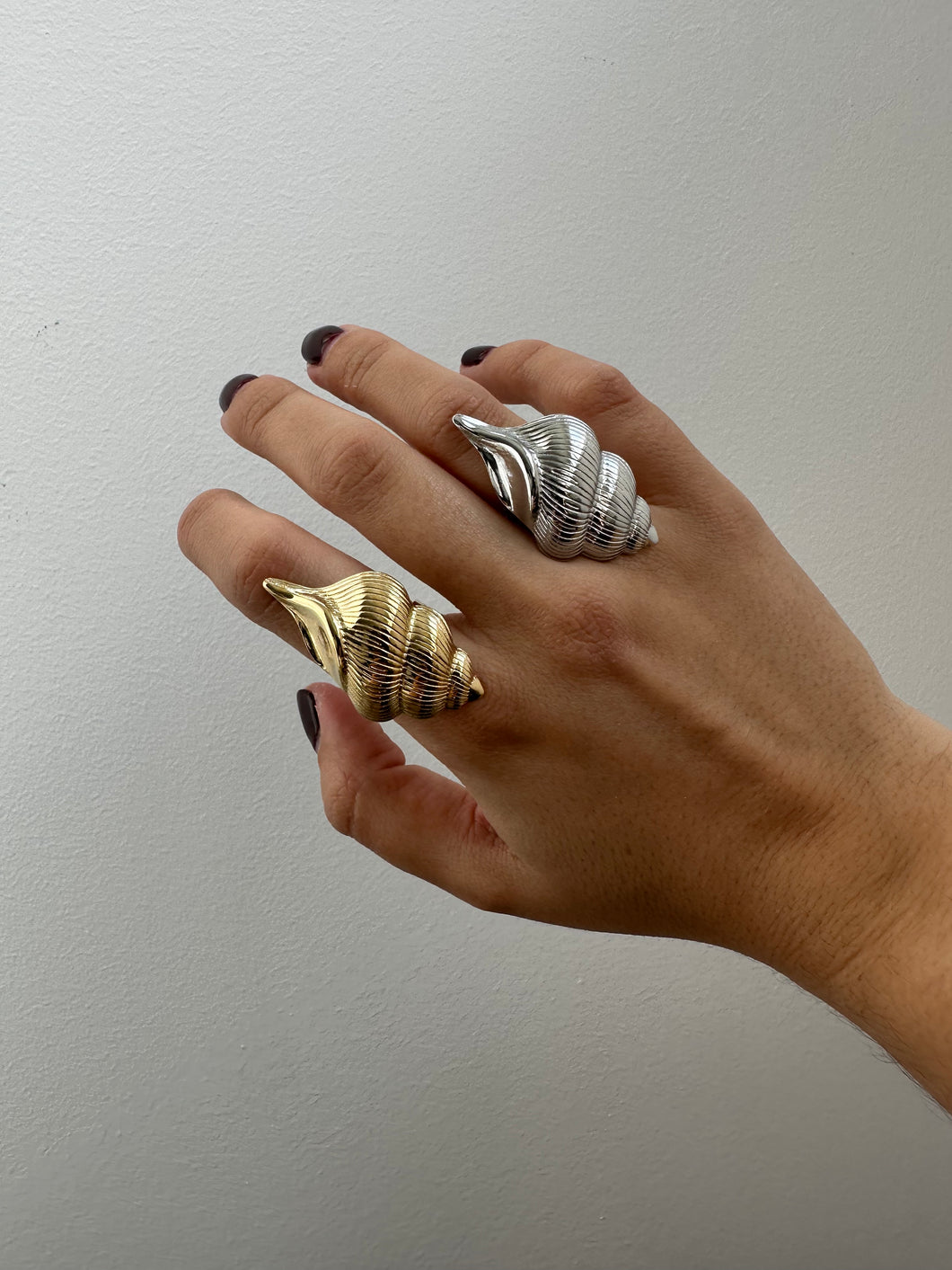 Anillo Concha